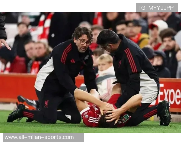 疯狂樱桃重建之路伯恩茅斯夏窗大换血后仅输利物浦一场